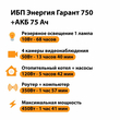 ИБП для котла Энергия Гарант 750 + Аккумулятор 75 Ач 12 В (450Вт - 91мин) - ИБП и АКБ - ИБП для котлов - . Магазин оборудования для автономного и резервного электропитания Ekosolar.ru в Белогорске